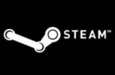 Steam US 10$